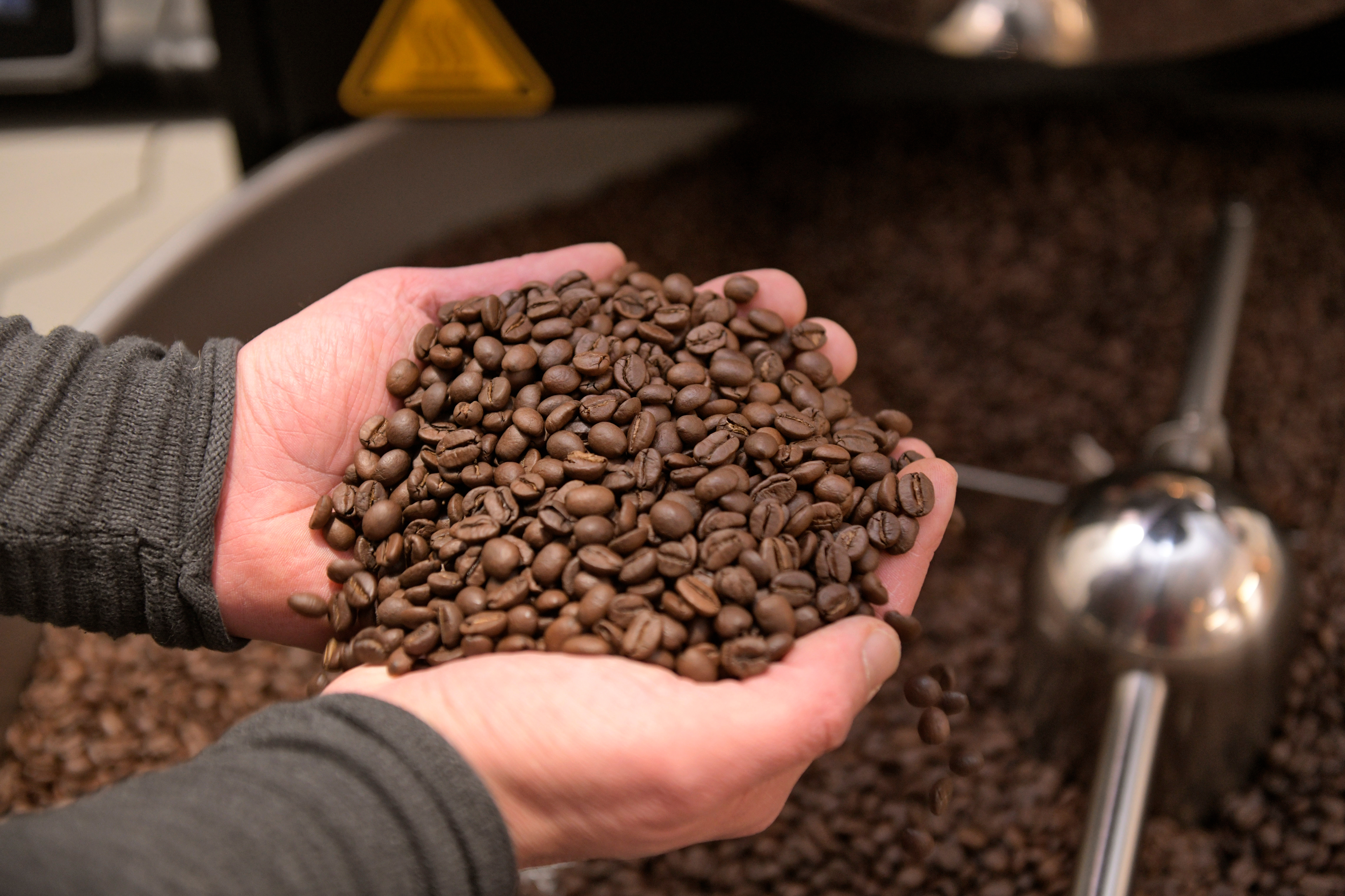 Hände mit gerösteten Kaffeebohnen